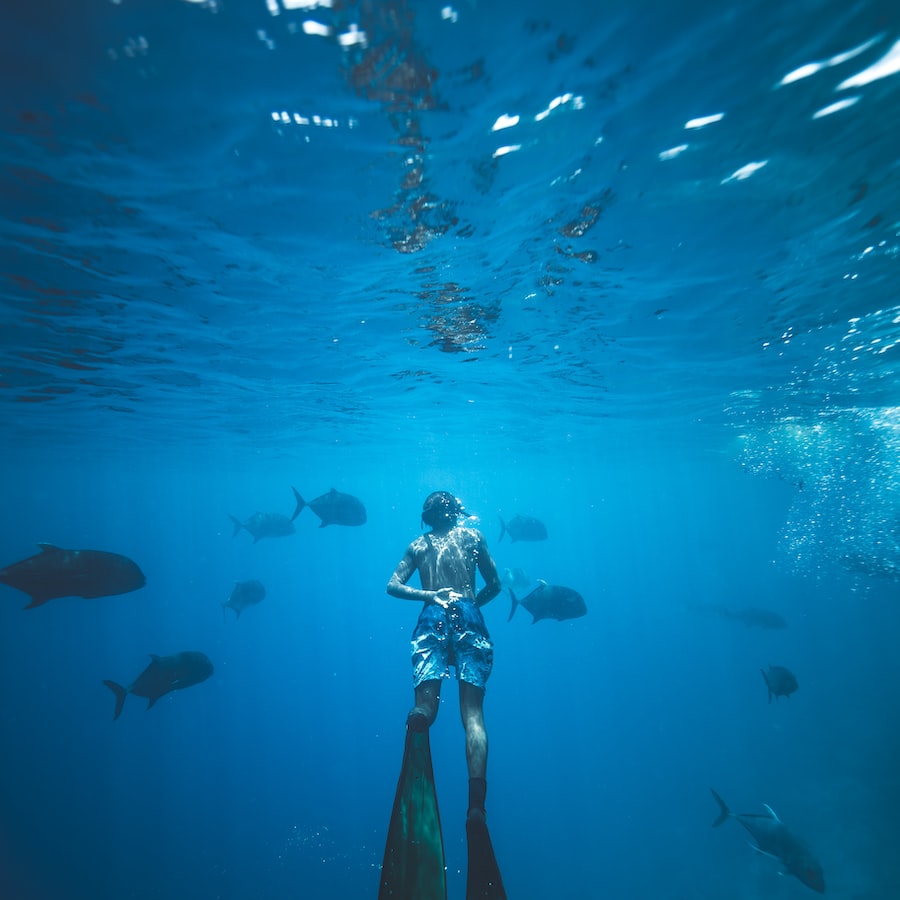 Im Bann der Unterwasserwelt: Tauchen in den tiefsten Gewässern der Erde